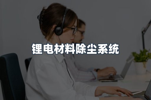 锂电材料除尘系统